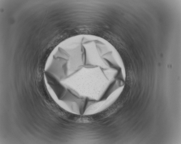 X0000082680751200702232138