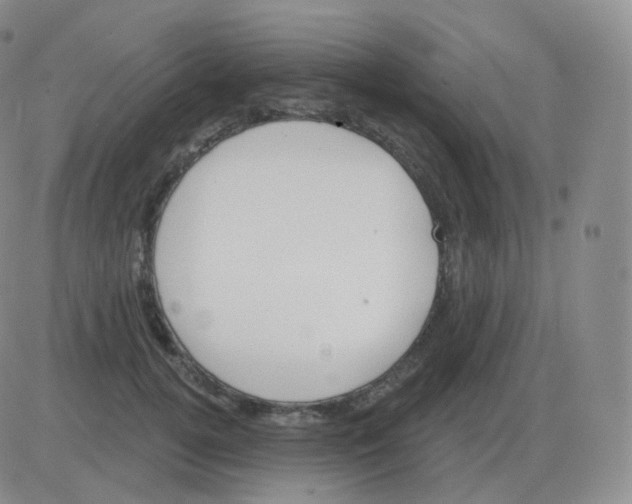 X0000082680752200702232138