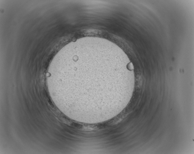 X0000082680753200702232138