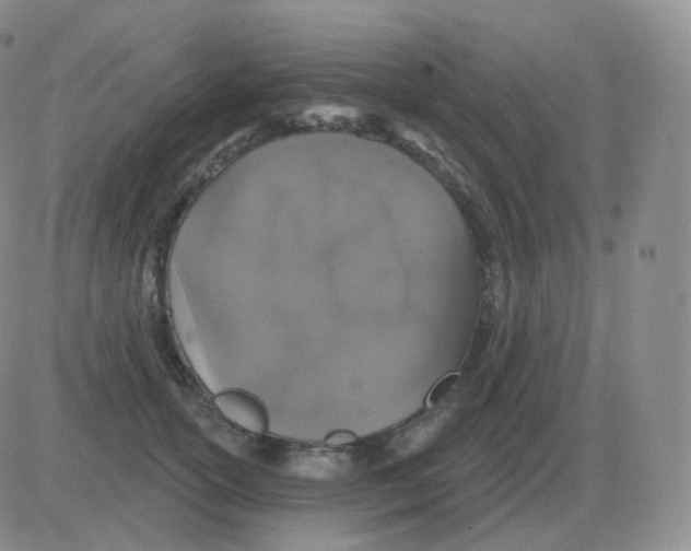 X0000082680754200702232138