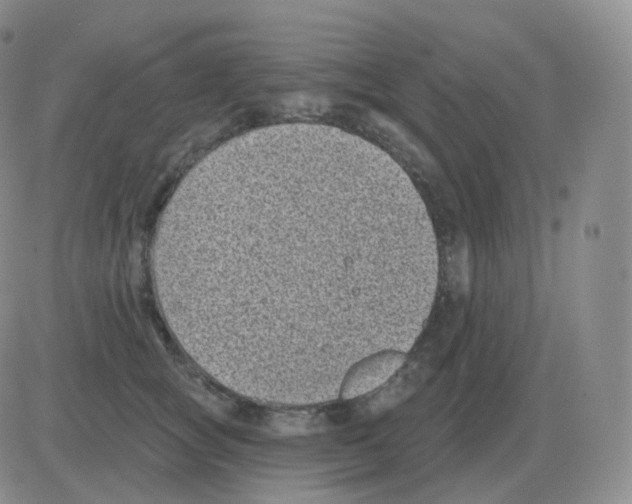 X0000082680757200702232138