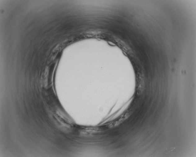 X0000082680758200702232138