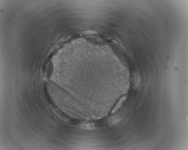 X0000082680760200702232138