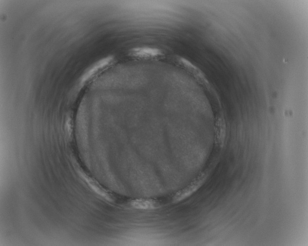 X0000082680762200702232138