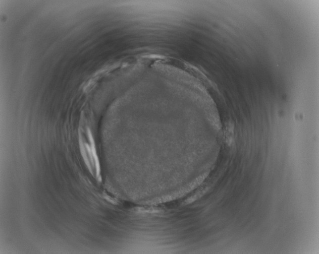 X0000082680763200702232138