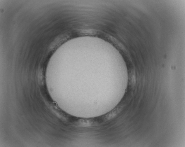 X0000082680764200702232138