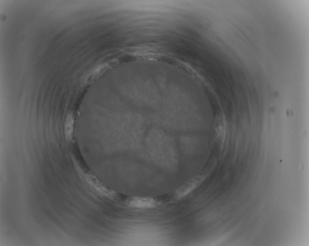 X0000082680767200702232138