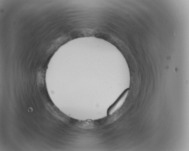 X0000082680768200702232138