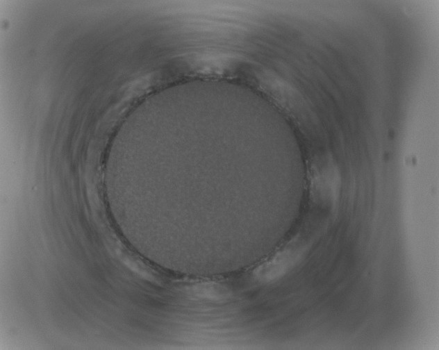 X0000082680769200702232137