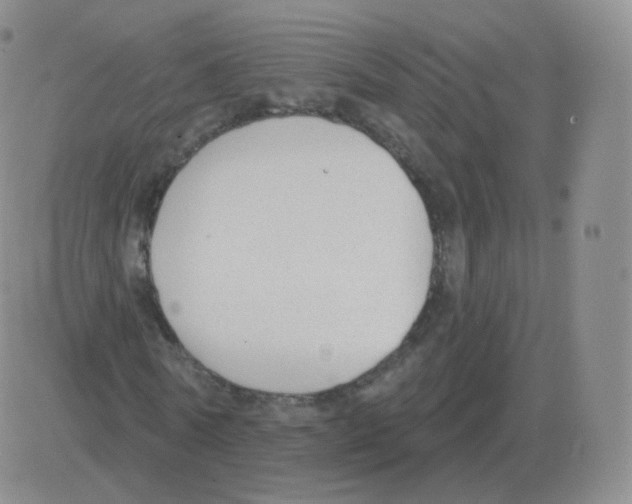 X0000082680770200702232137