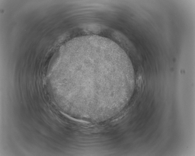 X0000082680772200702232137