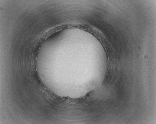 X0000082680773200702232137