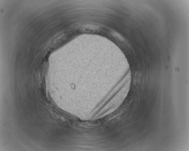 X0000082680774200702232137