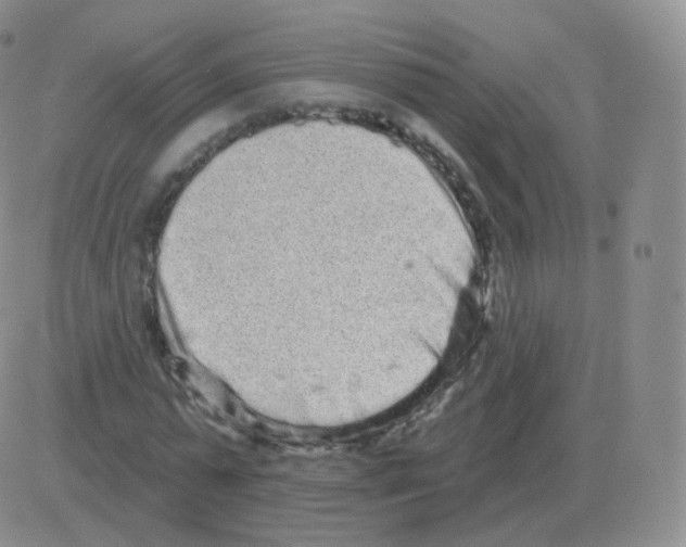 X0000082680775200702232137