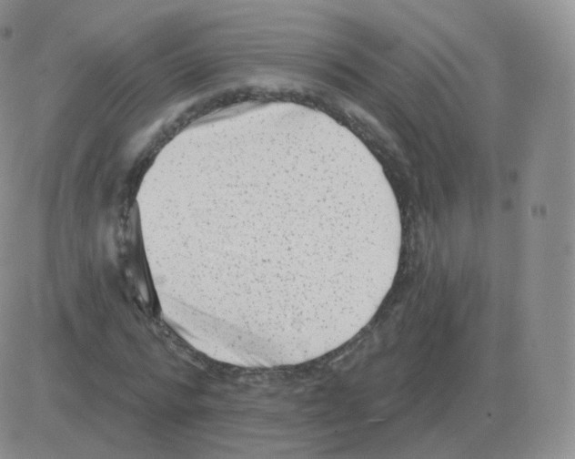 X0000082680776200702232137