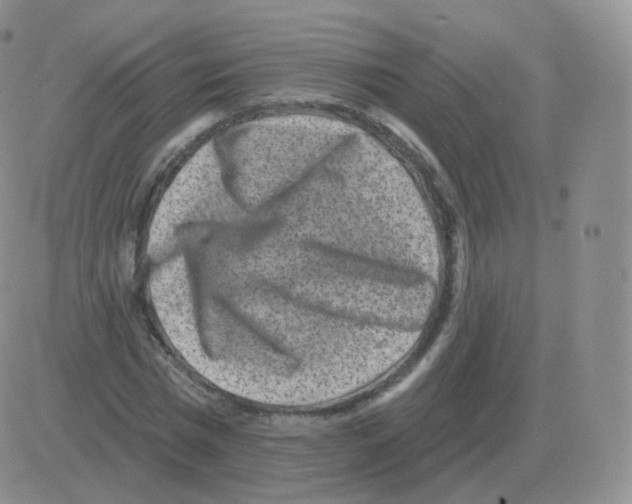 X0000082680777200702232137