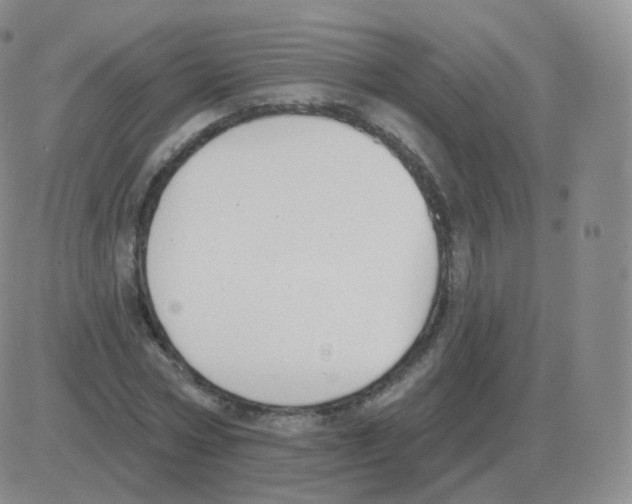 X0000082680778200702232137