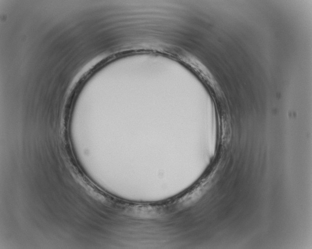 X0000082680780200702232137