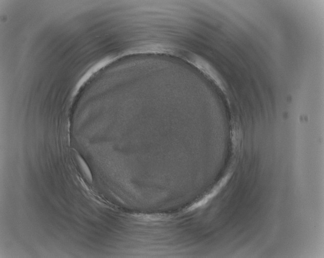 X0000082680781200702232137