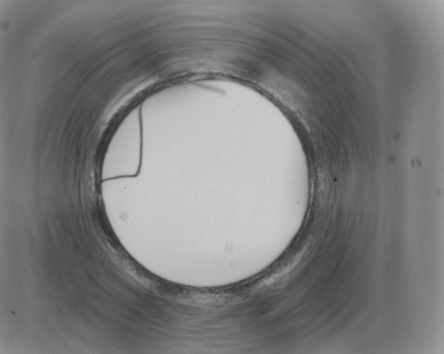 X0000082680782200702232137