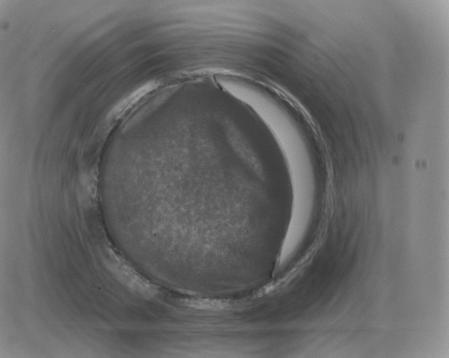 X0000082680785200702232137