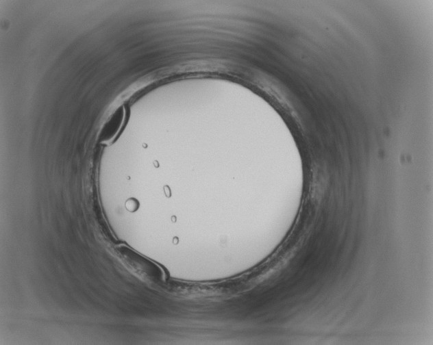 X0000082680786200702232137