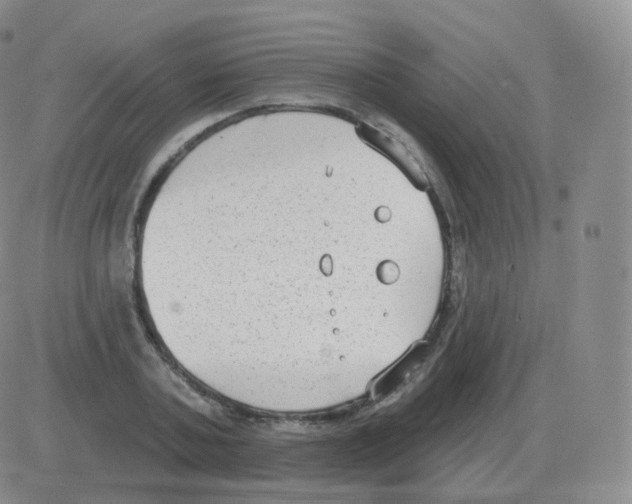 X0000082680787200702232137