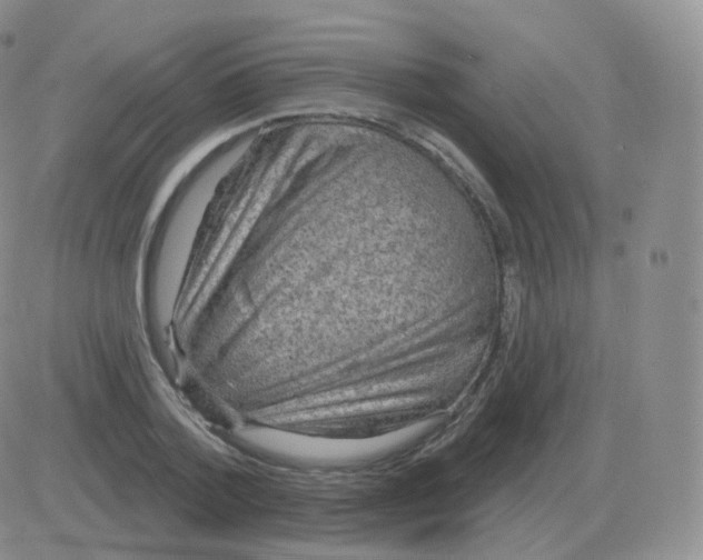 X0000082680788200702232137