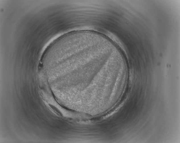 X0000082680789200702232137