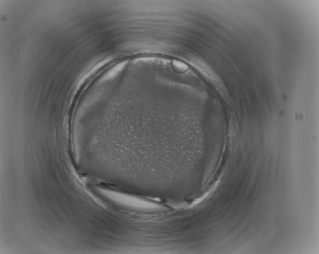 X0000082680790200702232137