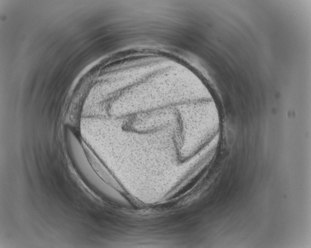 X0000082680791200702232137