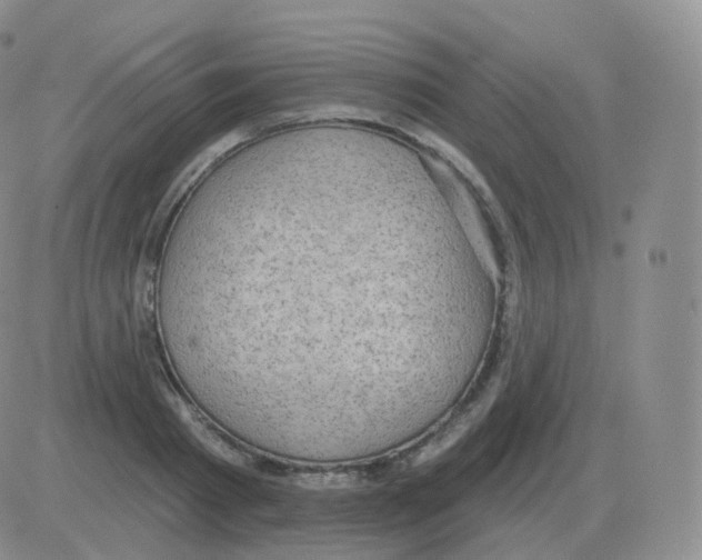 X0000082680793200702232137