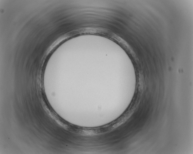 X0000082680794200702232137