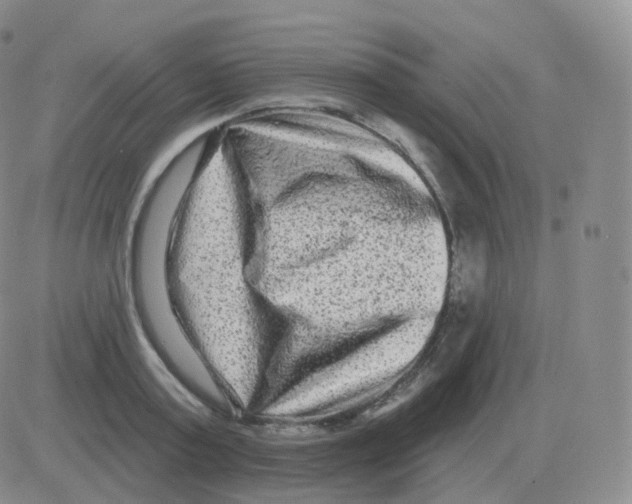 X0000082680795200702232137