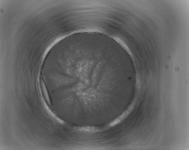 X0000082680797200702232137