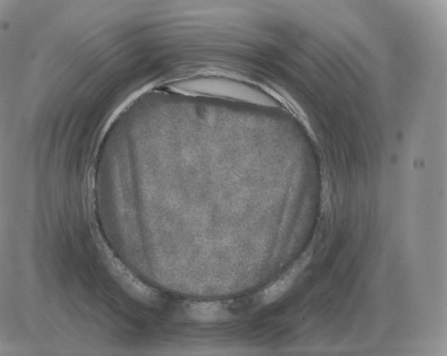 X0000082680798200702232137