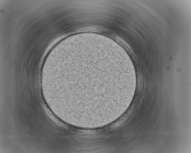 X0000082680800200702232136