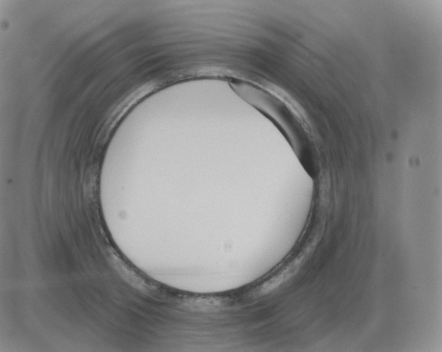 X0000082680801200702232136