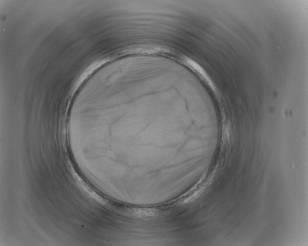 X0000082680802200702232136