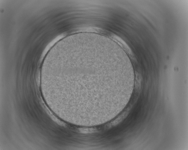 X0000082680804200702232136