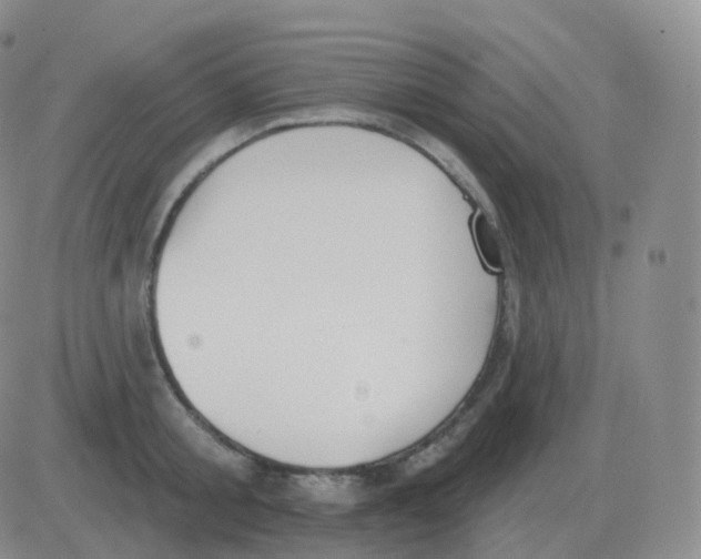 X0000082680805200702232136