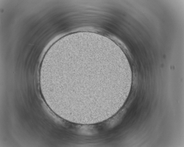 X0000082680808200702232136