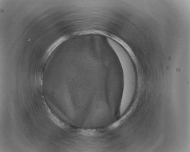 X0000082680809200702232136