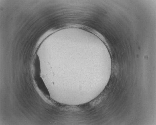 X0000082680811200702232136