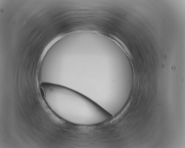 X0000082680812200702232136