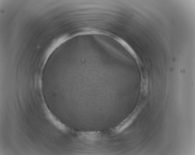 X0000082680813200702232136