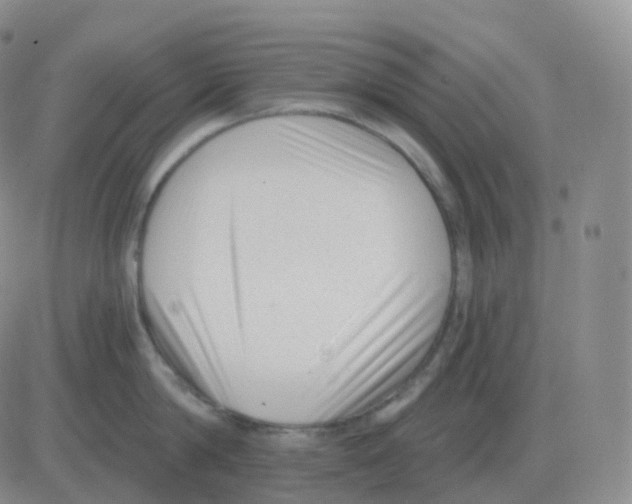 X0000082680814200702232136