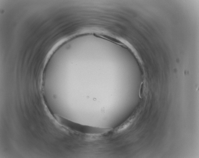 X0000082680815200702232136