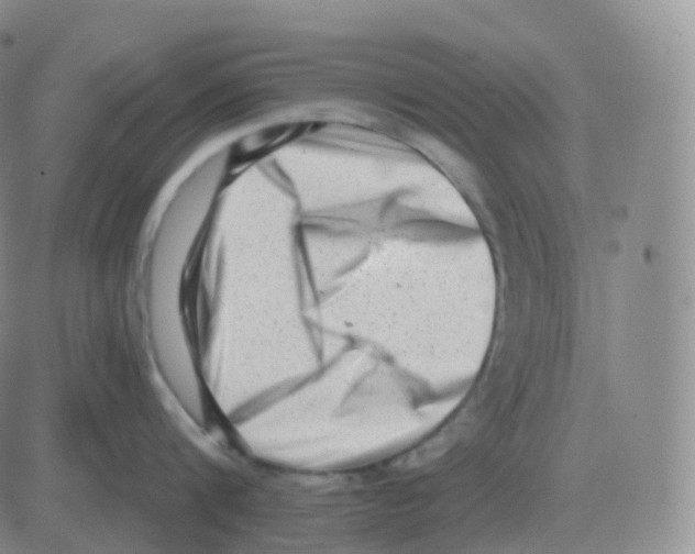 X0000082680816200702232136