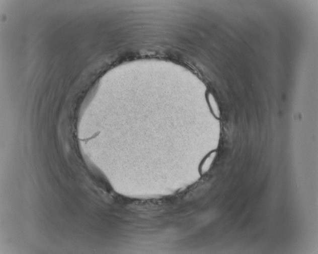 X0000082680817200702232135